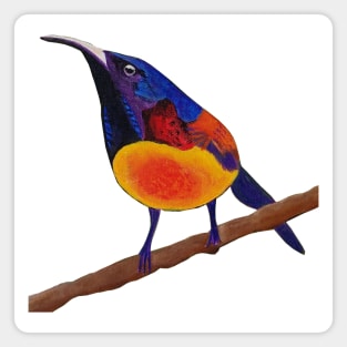 Green-tailed sunbird Magnet